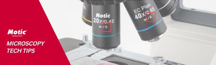 The Microscope Objective: The Key Issue for Best Image Performance