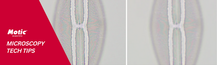 Resolution & Magnification