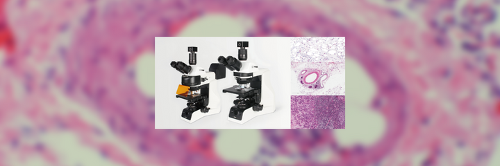 Choosing a Clinical Microscope: Hematoxylin and Eosin staining (H&E)